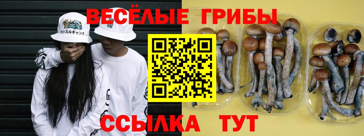 Псилоцибиновые грибы MAGIC MUSHROOMS  Галлюциногенные грибы прущие грибы  Вход с VPN  Лянтор 